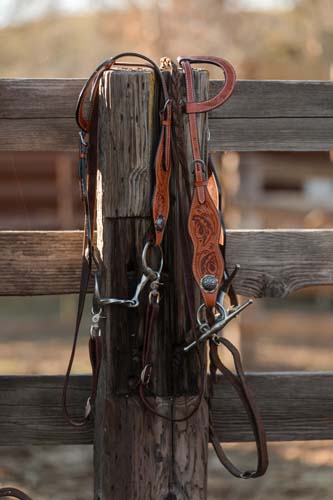 Sequin Heart Pony Headstall & Breast Collar – Riding Free Tack